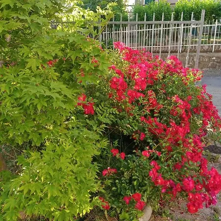 Hotel Lory فندق