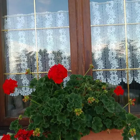 فندق Hotel Lory فيديسياتيكو